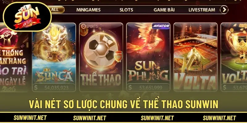 Giới thiệu vài nét về thể thao Sunwin