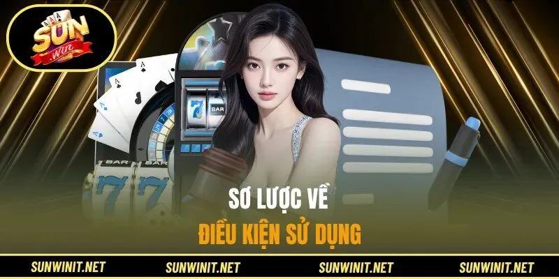 Sơ lược về điều kiện sử dụng